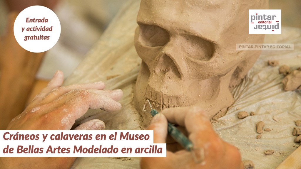 Cráneos y calaveras en el Museo de Bellas Artes. Modelado en&nbsp;arcilla